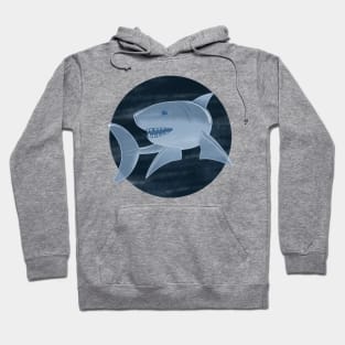 Glass Shark Hoodie